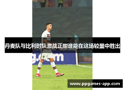 丹麦队与比利时队激战正酣谁能在这场较量中胜出